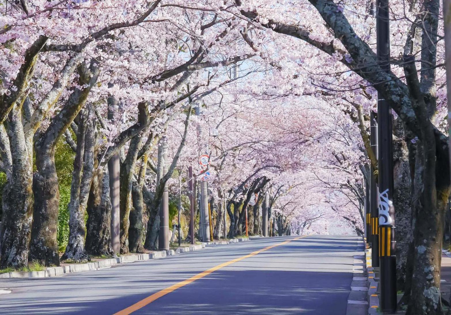 伊豆高原テラス-寛道- Ito (Shizuoka) Exterior foto