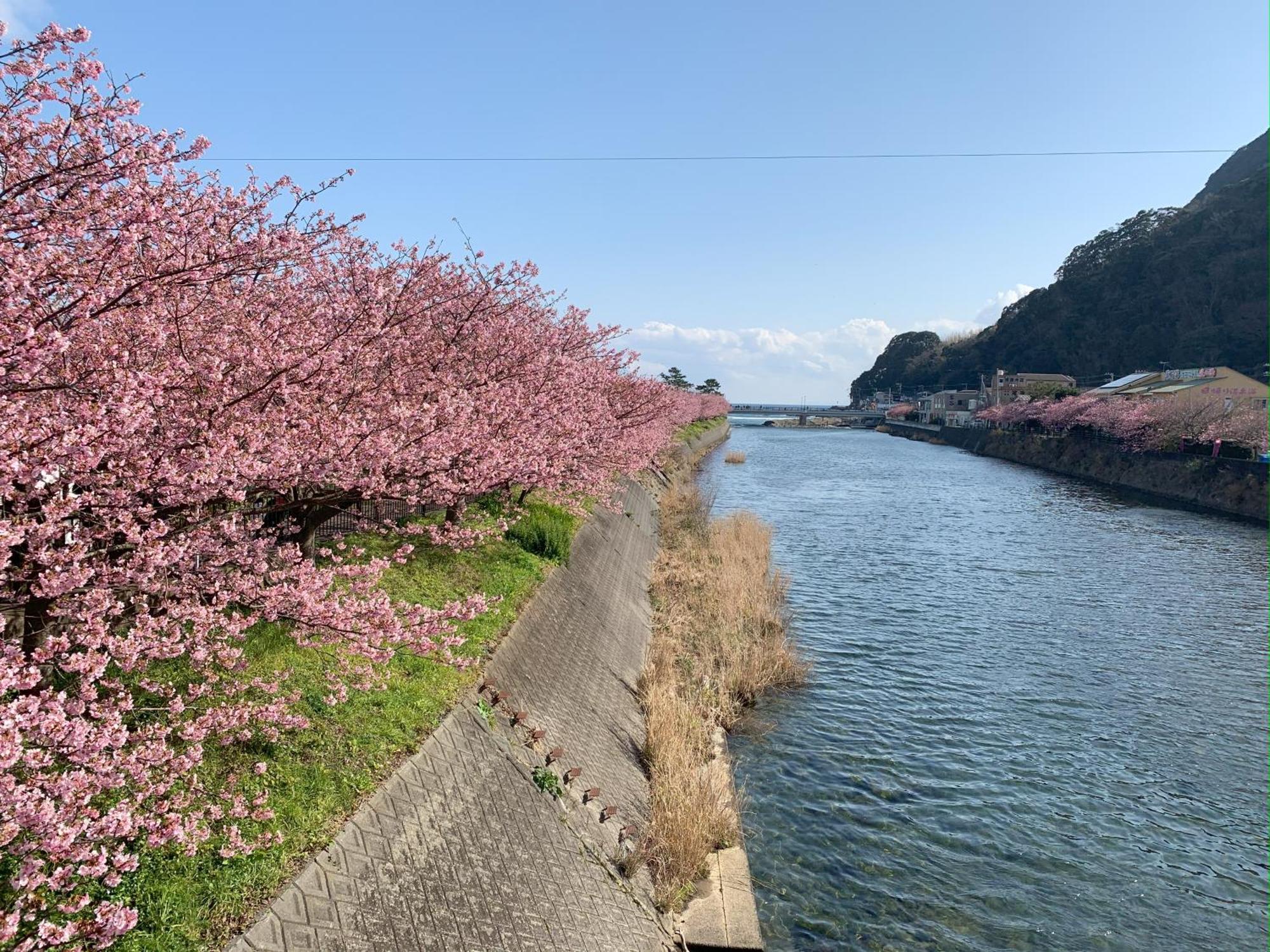 伊豆高原テラス-寛道- Ito (Shizuoka) Exterior foto